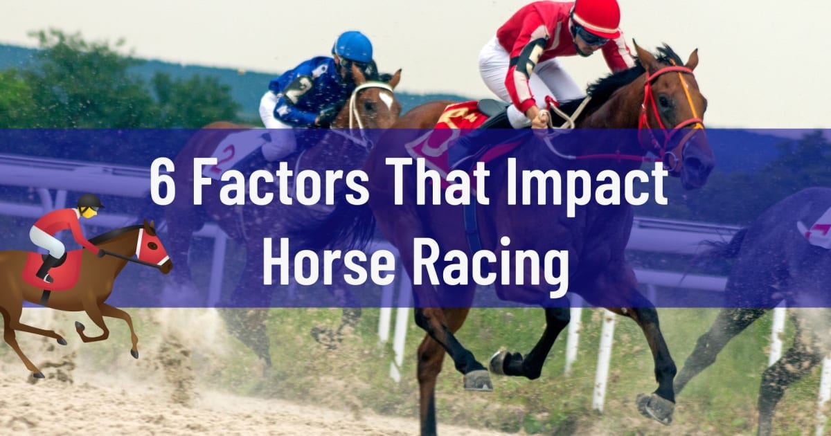 6 фактора који утичу на коњске трке